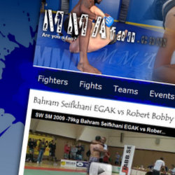 Screenshot of MMAfan.com