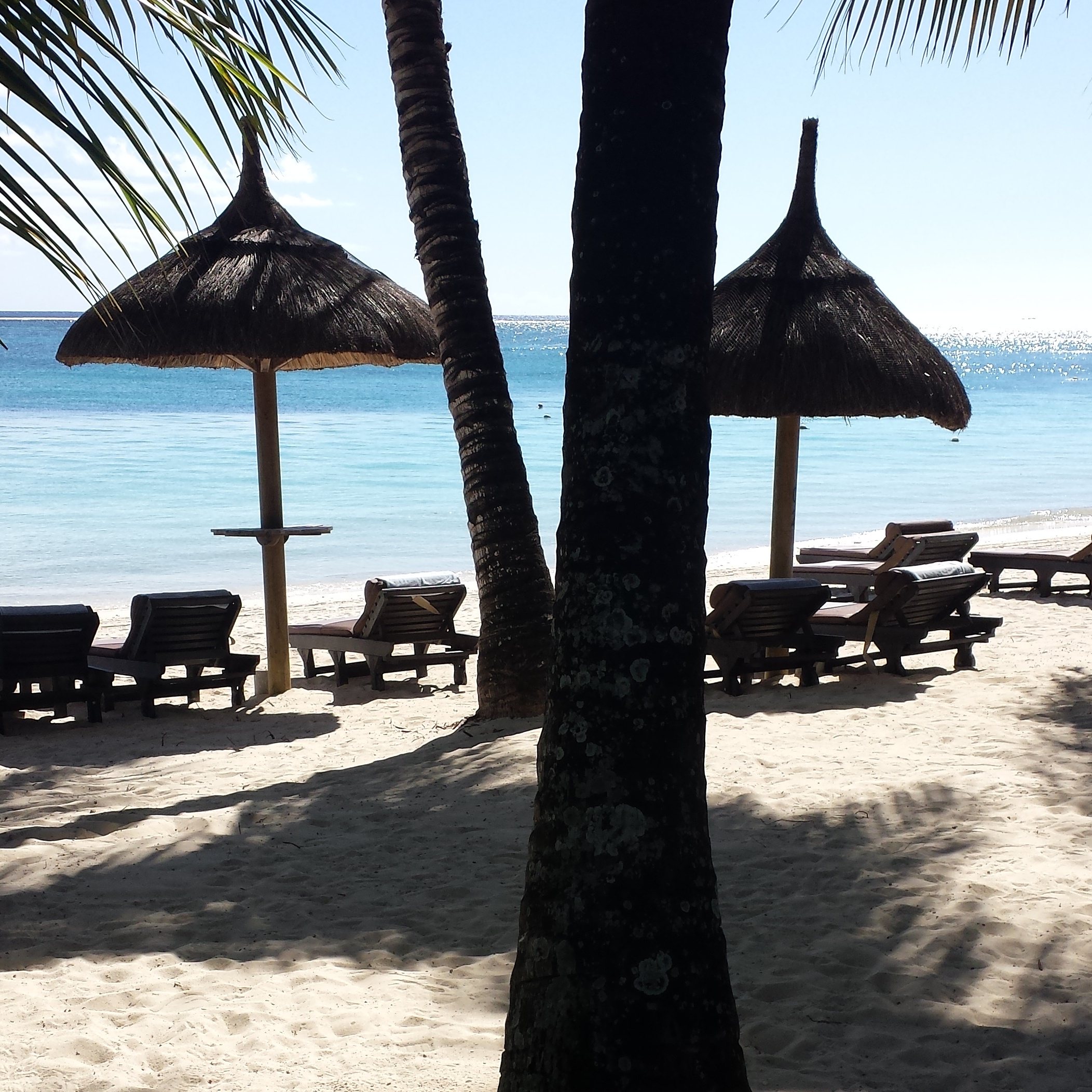 Photo from Mauritius