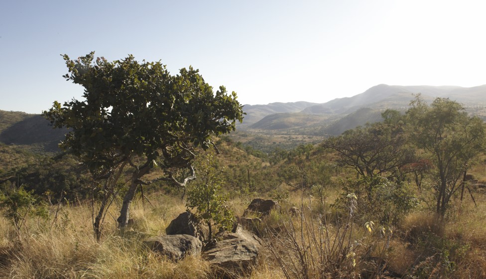 Photo from South Africa